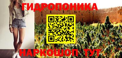ECSTASY Кимры