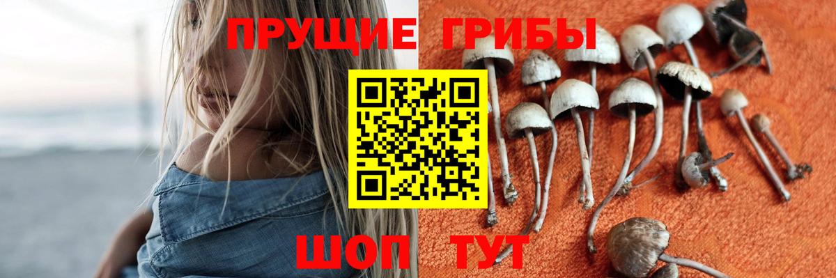 Галлюциногенные грибы Cubensis Красноуфимск